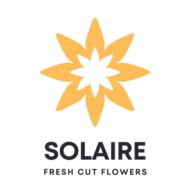 SOLAIRE
